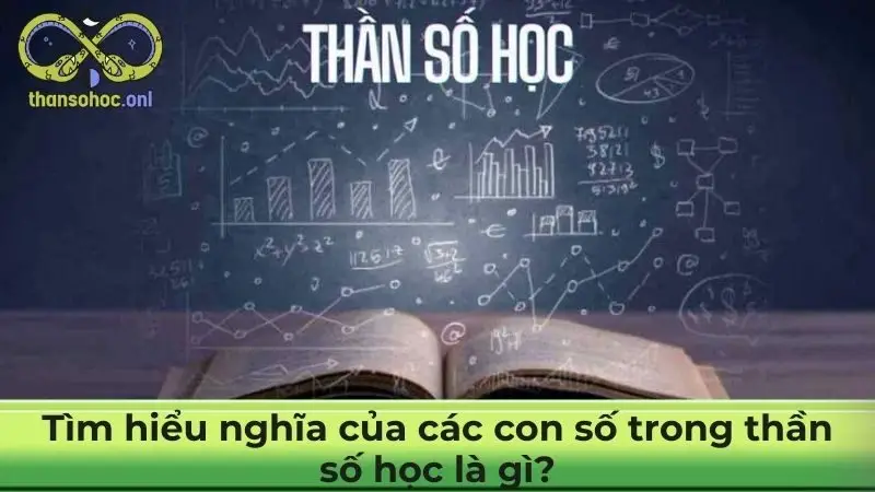 Tìm hiểu nghĩa của các con số trong thần số học là gì?