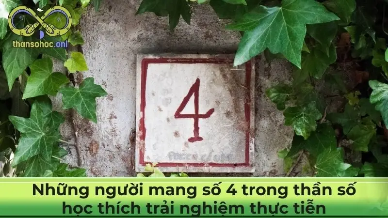 Những người mang số 4 trong thần số học thích trải nghiệm thực tiễn