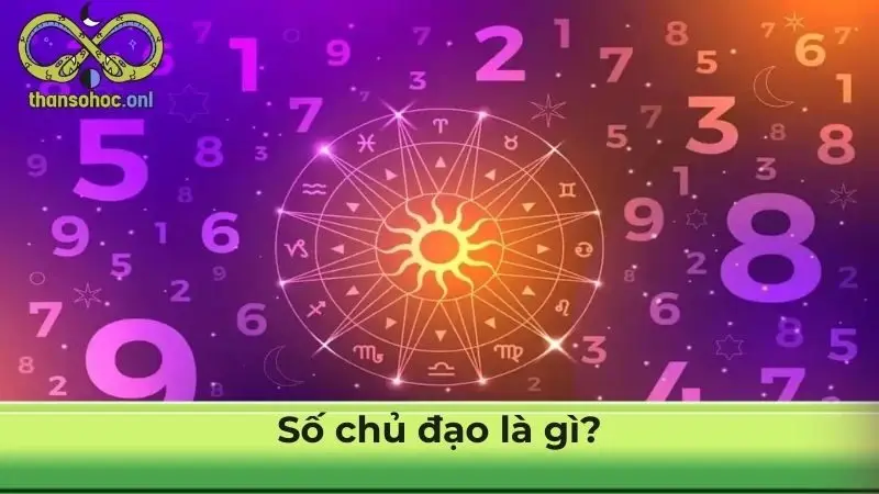 Số chủ đạo là gì?