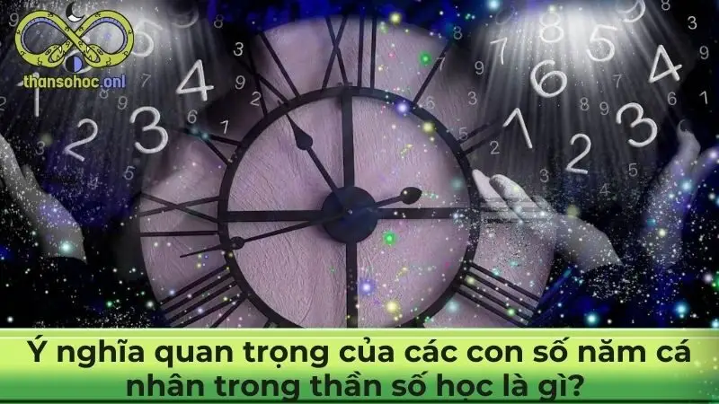 Ý nghĩa quan trọng của các con số năm cá nhân trong thần số học là gì?  