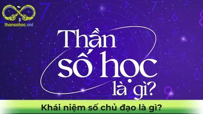 Khái niệm số chủ đạo là gì?