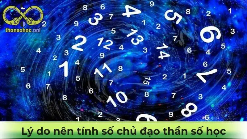 Lý do nên tính số chủ đạo thần số học