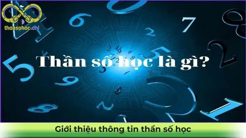 Giới thiệu thông tin thần số học