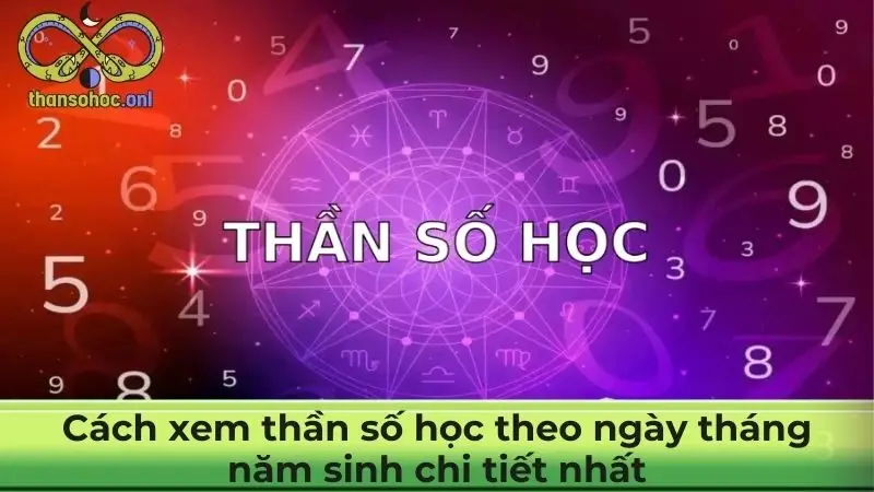 Cách xem thần số học theo ngày tháng năm sinh chi tiết nhất