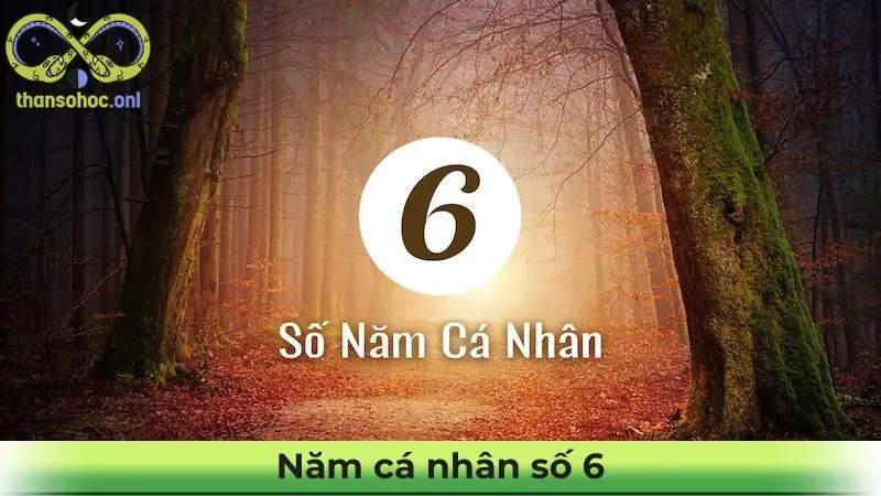 Năm cá nhân số 6