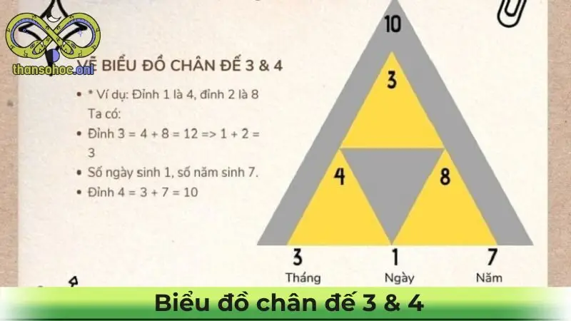 Biểu đồ chân đế 3&4