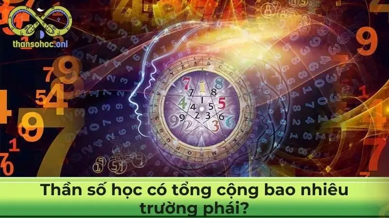 Thần số học có tổng cộng bao nhiêu trường phái?