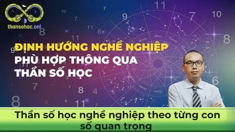 Thần số học nghề nghiệp theo từng con số quan trọng 