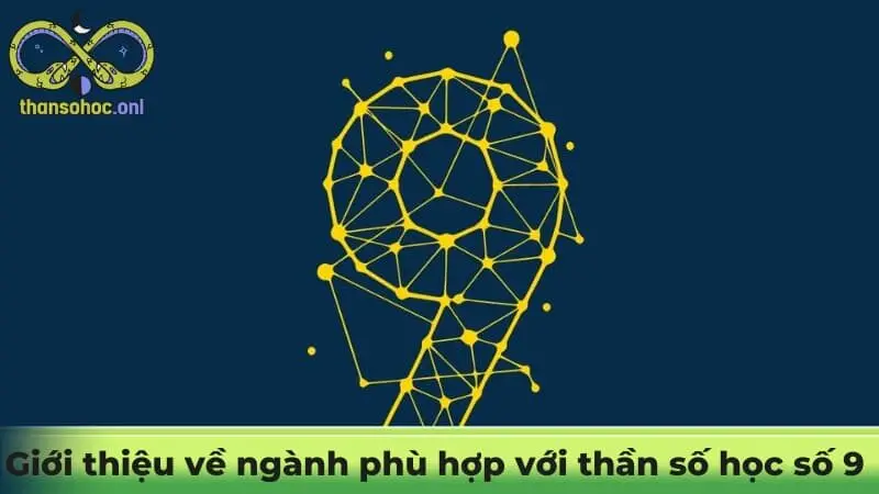 Giới thiệu về ngành phù hợp với thần số học số 9 nghề nghiệp