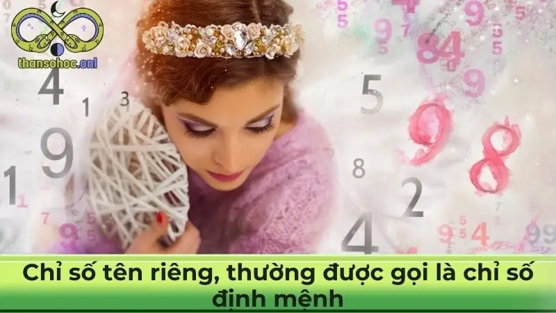 Chỉ số tên riêng, thường được gọi là chỉ số định mệnh